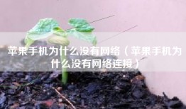 苹果手机为什么没有网络（苹果手机为什么没有网络连接）