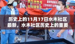 揭秘水木社区历史上的重要时刻，十一月十七日回顾与展望