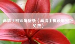 高清手机锁屏壁纸（高清手机锁屏壁纸免费）