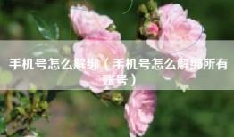 手机号怎么解绑（手机号怎么解绑所有账号）
