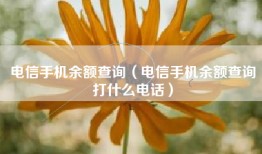 电信手机余额查询（电信手机余额查询打什么电话）