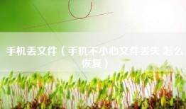 手机丢文件（手机不小心文件丢失 怎么恢复）