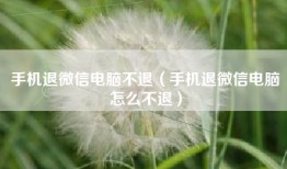 手机退微信电脑不退（手机退微信电脑怎么不退）