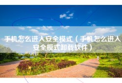 手机怎么进入安全模式（手机怎么进入安全模式卸载软件）
