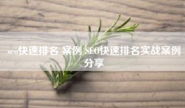 seo快速排名 案例 SEO快速排名实战案例分享