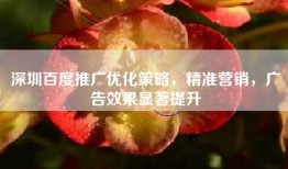 深圳百度推广优化策略，精准营销，广告效果显著提升