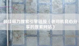 最佳磁力搜索引擎链接（老司机良心分享的搜索网站）