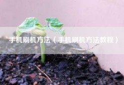 手机刷机方法（手机刷机方法教程）