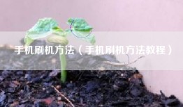 手机刷机方法（手机刷机方法教程）