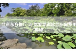 北京东方推广 VR 驾驶培训软件所需费用揭秘