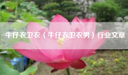 牛仔衣卫衣（牛仔衣卫衣男）行业文章
