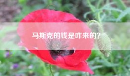 马斯克的钱是咋来的？