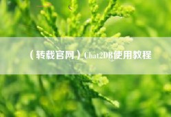 （转载官网）Chat2DB使用教程