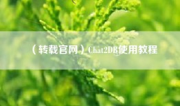 （转载官网）Chat2DB使用教程