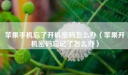 苹果手机忘了开机密码怎么办（苹果开机密码忘记了怎么办）