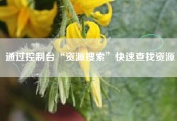 通过控制台“资源搜索”快速查找资源