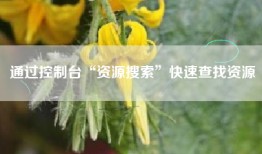 通过控制台“资源搜索”快速查找资源