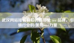 武汉网站排名背后的霸屏兔 seo 品牌，引领行业的(黑帽seo)力量