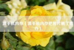 清手机内存（清手机内存把照片删了咋办）
