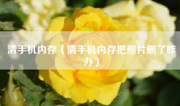 清手机内存（清手机内存把照片删了咋办）