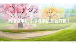 有按键手机（按键手机怎么开机）
