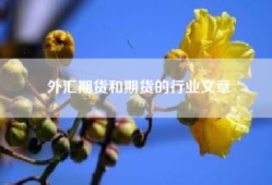 外汇期货和期货的行业文章