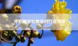 外汇期货和期货的行业文章
