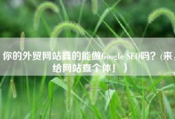 你的外贸网站真的能做Google SEO吗？(来，给网站查个体！）