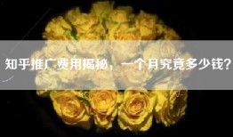 知乎推广费用揭秘，一个月究竟多少钱？