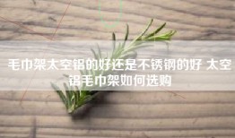毛巾架太空铝的好还是不锈钢的好 太空铝毛巾架如何选购
