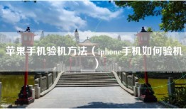 苹果手机验机方法（iphone手机如何验机）