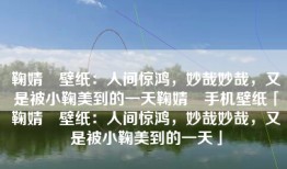 鞠婧祎壁纸：人间惊鸿，妙哉妙哉，又是被小鞠美到的一天鞠婧祎手机壁纸「鞠婧祎壁纸：人间惊鸿，妙哉妙哉，又是被小鞠美到的一天」