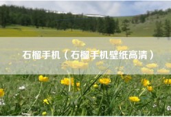 石榴手机（石榴手机壁纸高清）
