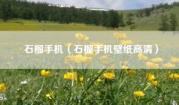 石榴手机（石榴手机壁纸高清）