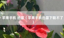 苹果手机 迅雷（苹果手机迅雷下载不了）