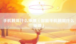 手机触屏什么原理（智能手机触屏什么原理）