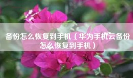 备份怎么恢复到手机（华为手机云备份怎么恢复到手机）
