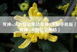 死神vs火影亿忍集结死神vs火影手机版「死神vs火影亿忍集结」