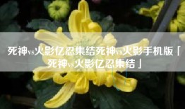 死神vs火影亿忍集结死神vs火影手机版「死神vs火影亿忍集结」
