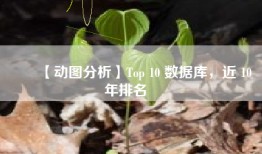 ❤️【动图分析】Top 10 数据库，近 10 年排名❤️