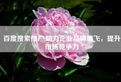 百度搜索推广,助力企业品牌腾飞，提升市场竞争力