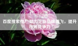 百度搜索推广,助力企业品牌腾飞，提升市场竞争力