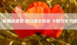 (新疆滴灌管)昔日灌水到老 今朝节水为道