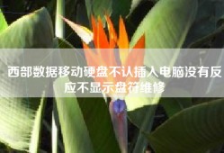 西部数据移动硬盘不认插入电脑没有反应不显示盘符维修