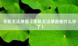 手机无法录音（手机无法录音是什么坏了）