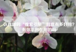 认真做的“搜索引擎”到底有多好用？有你平时在用的吗