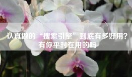 认真做的“搜索引擎”到底有多好用？有你平时在用的吗