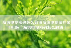 海信电视密码怎么取消海信电视遥控器手机版「海信电视密码怎么取消」