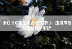 小红书广告引流合规性探讨，违规风险与投放成本解析