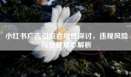 小红书广告引流合规性探讨，违规风险与投放成本解析